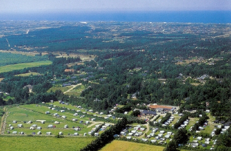 Henneby Camping Postcard